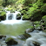 渓谷の水流