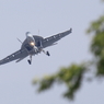 お盆休みに空母が帰ってきた？