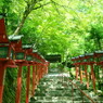 深緑の聖地