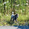 DSCN0199