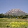 初夏の大山