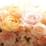 Anniversary Flower