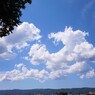 浮き雲
