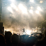 FUJI ROCK FESTIVAL`15 (31)