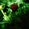 ３月９日−２