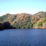 秋の五本松堰堤（布引ダム）