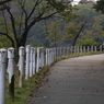 独り　その11