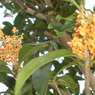 DSC00890