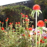 DSC00897