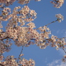 DSC00740