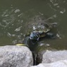 洞峰公園　6