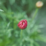 ３月１０日