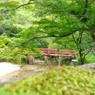 DSC04467