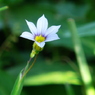DSC03090