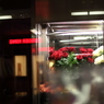 花屋とその周辺