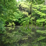 DSC03018