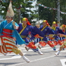 よさこい祭り2015in高知➈