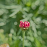 ３月１１日