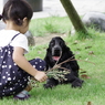 銀丸と公園で-2