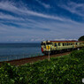 夏だ列車に乗って海へ行こう！ part10