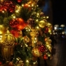 Disney Sea　20