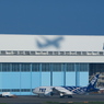 Shadow fly