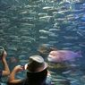 水族館