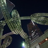 DSC00341