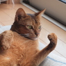 よしっ！