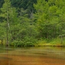 田代池