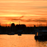 Night view -Vancouver-
