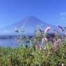夏の富士