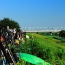 『第49回葛飾納涼花火大会』が始まるまで・・・＃３　三脚だらけ