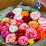 ブーケ（薔薇）