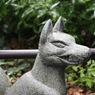 お狐様