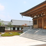 猫寺（御誕生寺）～本堂＆庭園～