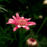 ３月１５日