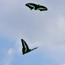 青空デート