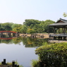 紫式部公園－対岸からの橋と釣殿