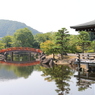 紫式部公園－対岸からの橋と釣殿・寄り