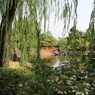 紫式部公園－しだれ柳の間から
