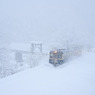 キハが行く-20100105-114352_01