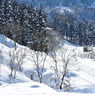 キハが行く-20100109-115400_01