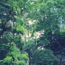 IMG_1078effected2