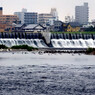 鵜鷺追いし多摩川　＃２　布陣