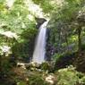 白糸の滝