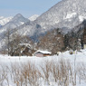 キハが行く-20100111-114153_01