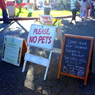 Please,No Pets