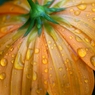 雨上がり