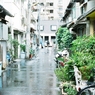 路地裏散策